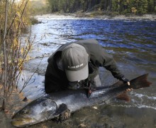 Горизонт-Экстрим: Трофейная рыбалка, сплавы и экспедиции для искателей настоящих ощущений