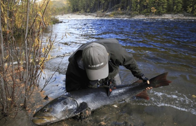 «Горизонт-Экстрим»