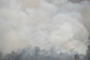 Север Приамурья продолжает гореть, пожары отмечают близ населенных пунктов