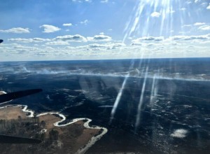 В Амурской области с начала пожароопасного сезона нашли и наказали шестерых виновников палов