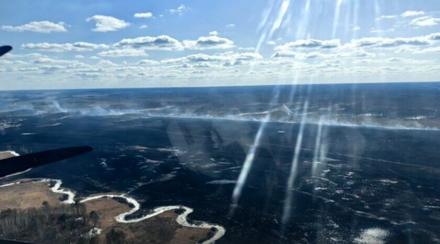 В Амурской области с начала пожароопасного сезона нашли и наказали шестерых виновников палов