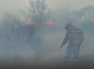 Штрафы на 1,8 миллиона рублей выписаны в Приамурье с начала действия особого противопожарного режима