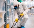 Благовещенск Уничтожение Клопы Тараканы Блохи Мыши