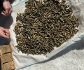 Более 9 тысяч боеприпасов изъяли сотрудники ФСБ у амурчанина 