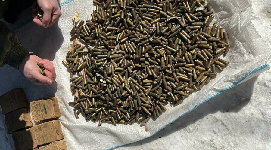Более 9 тысяч боеприпасов изъяли сотрудники ФСБ у амурчанина