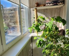 3-комн. квартира, 69 м², 2/5 этаж