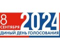 В сентябре в Амурской области будут выбирать главу одного города и больше 100 депутатов
