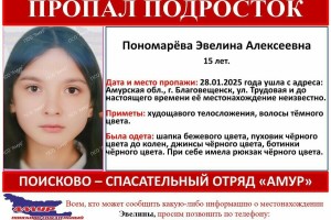 В Благовещенске организован срочный поиск не вернувшейся из школы девочки