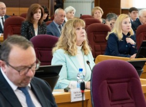 В Благовещенске запланировано строительство роддома и ремонт моста через Зею: депутаты в 1 чтении утвердили бюджет Амурской области