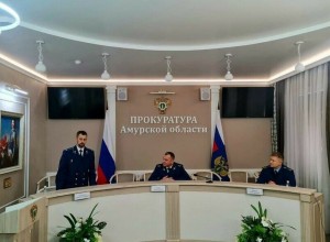 В прошлом году в Приамурье выявили в 12 раз больше коррупционных преступлений