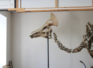 Благовещенский проект о динозаврах поборется за «географический «Оскар»